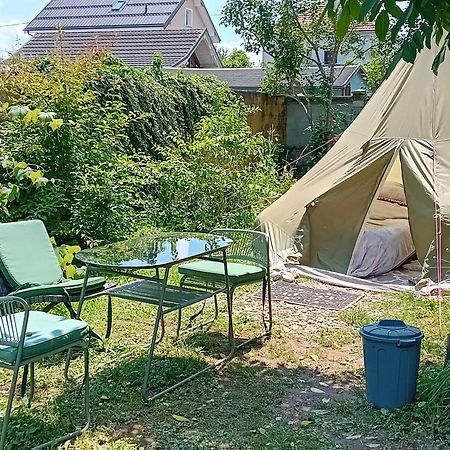 Camping Under The Walnut In Your Own Tent On A Shared Lot And Shared Bathroom Liubliana Exterior foto
