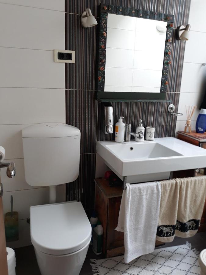 Camping Under The Walnut In Your Own Tent On A Shared Lot And Shared Bathroom Liubliana Exterior foto