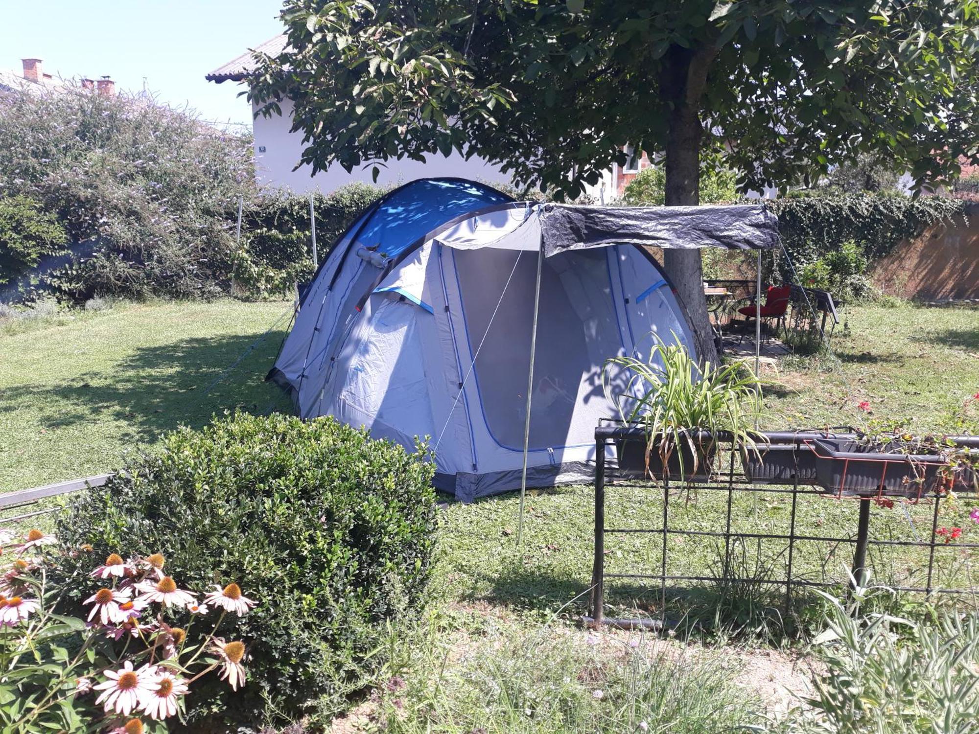 Camping Under The Walnut In Your Own Tent On A Shared Lot And Shared Bathroom Liubliana Exterior foto
